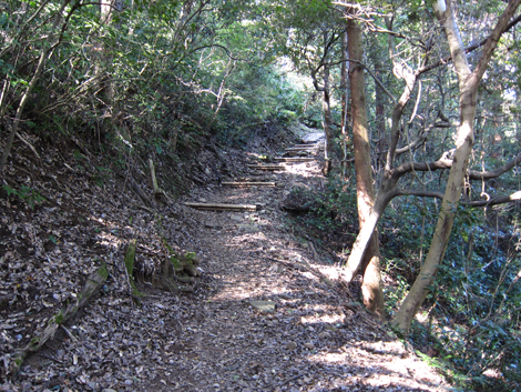 20201105hike (14)